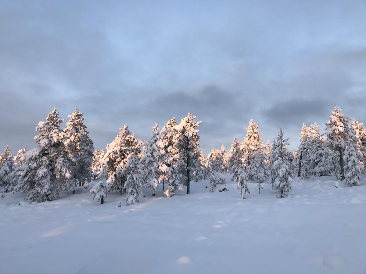 Sampo Studios Rovaniemi Exterior photo
